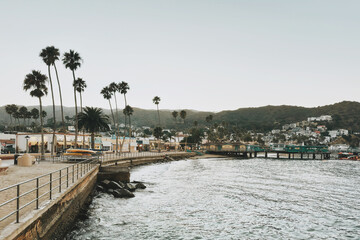 view of the river and the city