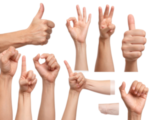 Different human hand gestures collection