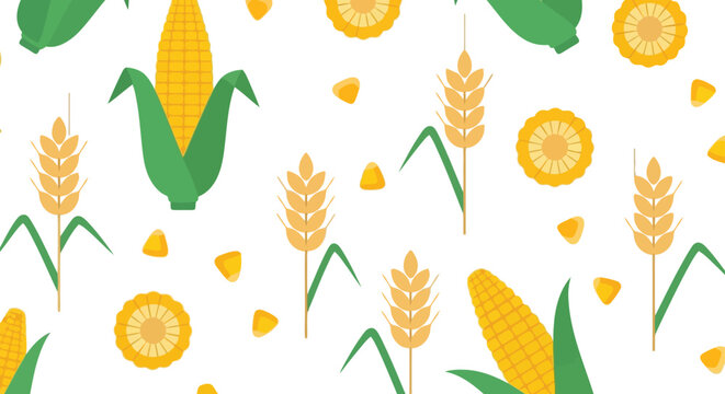Vibrant seamless pattern of corn and wheat crops harvest field nature organic agriculture illustration vector