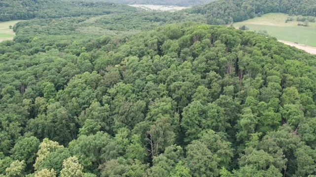 green forest in the mountains | Aerial Orbit Flight around Forested Hill Revealing a Rural Village, Scenic German Landscape, 4K