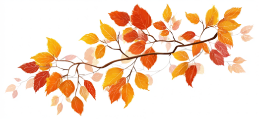 Autumn branch with colorful leaves vector illustration of fall foliage isolated on white background