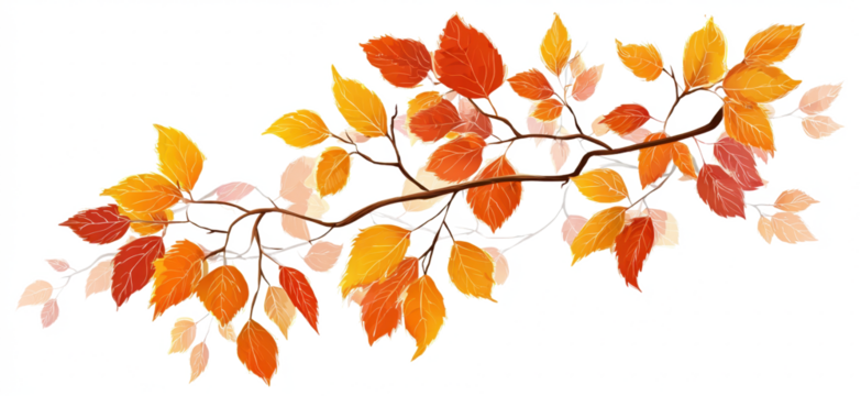 Autumn branch with colorful leaves vector illustration of fall foliage isolated on white background