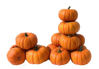 Pile of orange pumpkins stacked in a pyramid shape isolated on white for autumn harvest and seasonal concepts