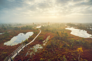 view of the big swamp from the air