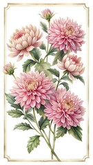 Elegant watercolor painting of pink chrysanthemums with lush greenery in gold frame