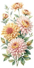 Watercolor Chrysanthemum Blossom Arrangement in Shades of Pink and Yellow