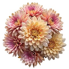 Beautiful and stunning dahlia flower arrangement with gradient pastel colors and detail