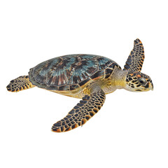 Sea turtle portrait exhibiting intricate shell patterns, floating against seamless emptiness, a
