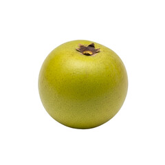 Single Green Grapefruit on Black Background Keywords: grapefruit, citrus, fruit, green, round