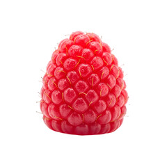 Single Raspberry with Water Droplets and Hairs fruit