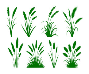 Fototapeta premium Collection of Green Grass Silhouettes on White Background