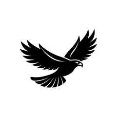 Obraz premium Silhouette of a soaring eagle bird