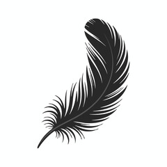 Obraz premium Elegant Black Feather Design with Intricate Details in a Curving, Feather-like Shape Against White