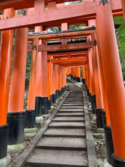 japanese garden gate