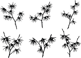 Black Silhouette Botanical Branches with Spiky Leaves – Minimal Nature Vector Set for Decorative, Abstract, and Design Use