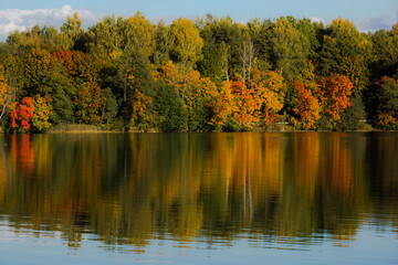 A horizontal landscape depicting a vibrant autumn forest on the shore of a pond. The calm surface of the water clearly reflects this forest, doubling the beauty of the autumn colors.
