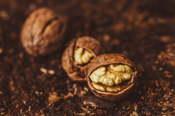 walnuts and kernels captured in a rustic natural setting. Some nuts are cracked open, revealing the rich interior texture, while others remain whole on a dark wooden surface. 