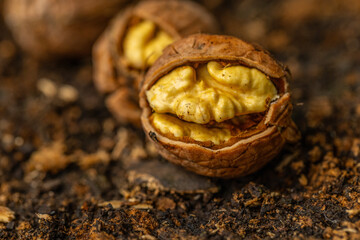 walnuts and kernels captured in a rustic natural setting. Some nuts are cracked open, revealing the rich interior texture, while others remain whole on a dark wooden surface. 