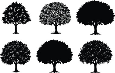 Collection of six black tree silhouettes with unique canopy shapes and branch structures for forest design, nature art, and vector use