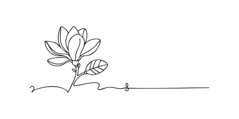 Continuous line drawing of a magnolia flower and leaf