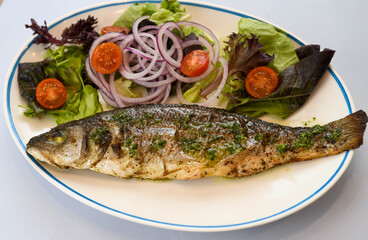 Grilled seabass with salad and onion on a white plate