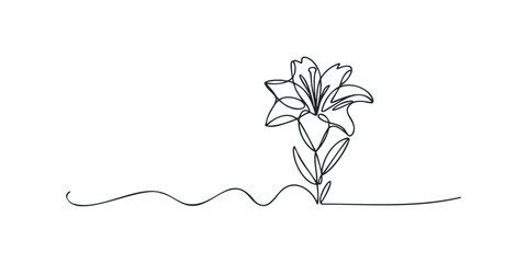 Single line drawing of a lily flower