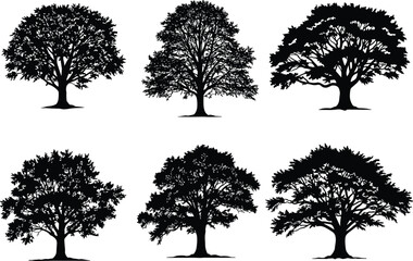 Set of six black tree silhouettes with diverse canopy shapes and branch structures for nature design, forest art, and illustration