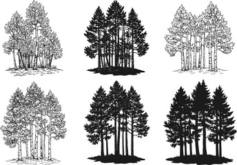 Set of six tree cluster illustrations in silhouette and line art style for forest design, nature graphics, and vector art