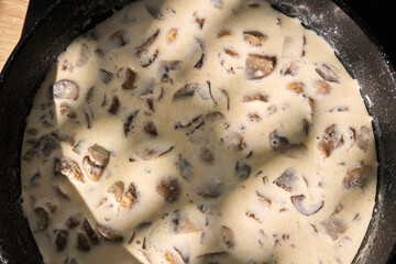 A pot of creamy mushroom sauce simmers on the stove. The sunlight casts shadows on the mixture as the cook