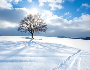 Obraz premium Winter landscape with lone tree (1)