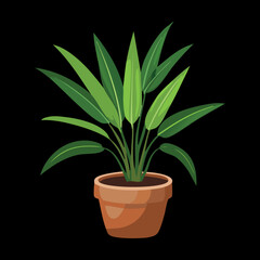 Dark background digital illustration of a fresh healthy potted green houseplant for modern home interior decoration