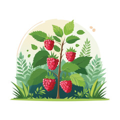 Sunlit Woodland Strawberry Plants Growing Naturally Among the Green Leaves