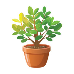 Small Green Potted Plants with Bright Yellow Tips for Cheerful Interior Decor