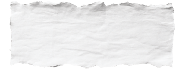 Wrinkled Torn White Paper Texture – Realistic Rough Edge Background. Isolated on transparent background, png