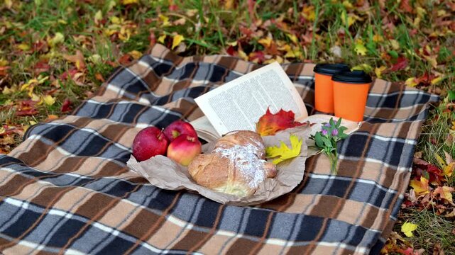 Cozy Autumn Picnic with Croissants Coffee and Book on Blanket Video