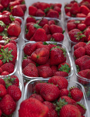 strawberries in a box
