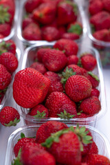 fresh strawberries in a bowl