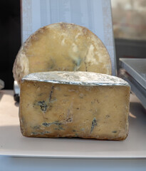 cheese with mold