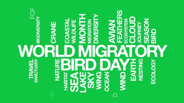 World Migratory Bird Day concept Animated Tag Word Cloud kinetic typography, Text Design Animation typography seamless loop video motion graphics Intro,  Word Art Looping Text effects green screen bac