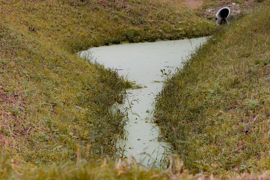 Overgrown ditch with algae bloom creeping through grassy banks outdoors