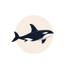 Orca whale illustration swimming against a transparent background  