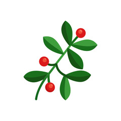 Delicate mistletoe sprig with vibrant red berries festive holiday christmas decoration element isolated