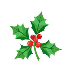Festive holly branch with red berries and green leaves isolated on white for christmas decoration