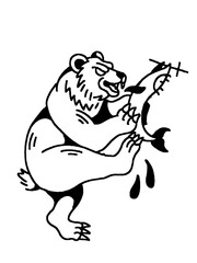Angry Bear Traditional Tattoo Art Catching Salmon Vector