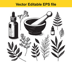 Vector art of vintage handdrawn illustration of a mortar and pestle, essential oil bottles, and various plant leaves