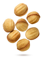 Nut shaped cookies flying on a white background. Isolated