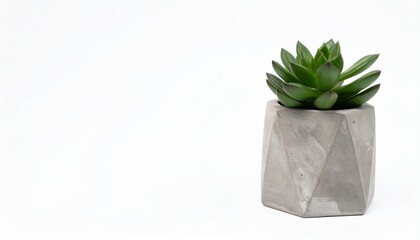 Geometric Concrete Succulent Planter Pot, Modern Minimalist Decor