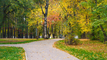 road in autumn park