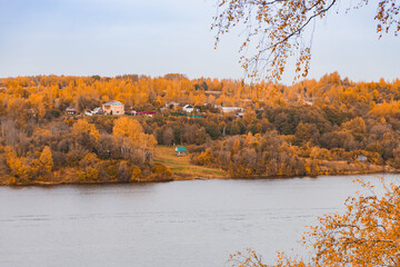 autumn in the forest