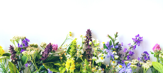 Various medicinal herbs on a white background. Selective focus.
